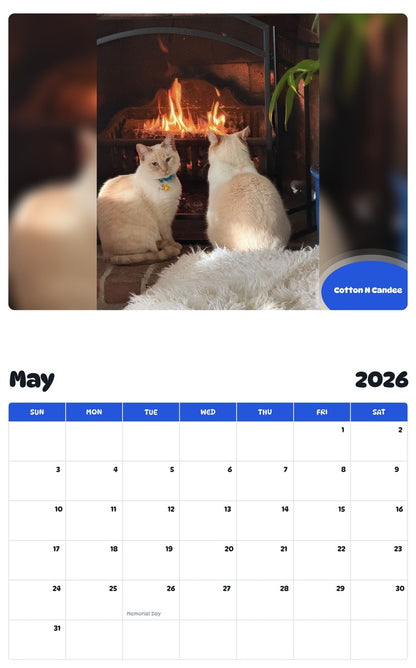 2026 - 2027 Cotton N Candee - Pawidols Pet Calendar