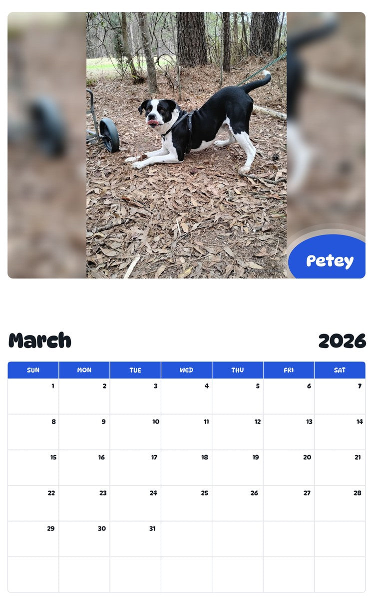 November 2025 - October 2026 Petey - Pawidols Pet Calendar