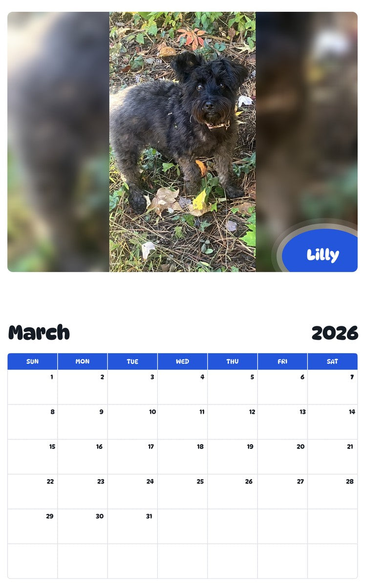 November 2025 - October 2026 Lilly - Pawidols Pet Calendar