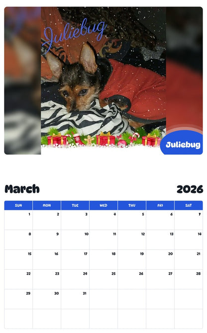 November 2025 - October 2026 Juliebug - Pawidols Pet Calendar