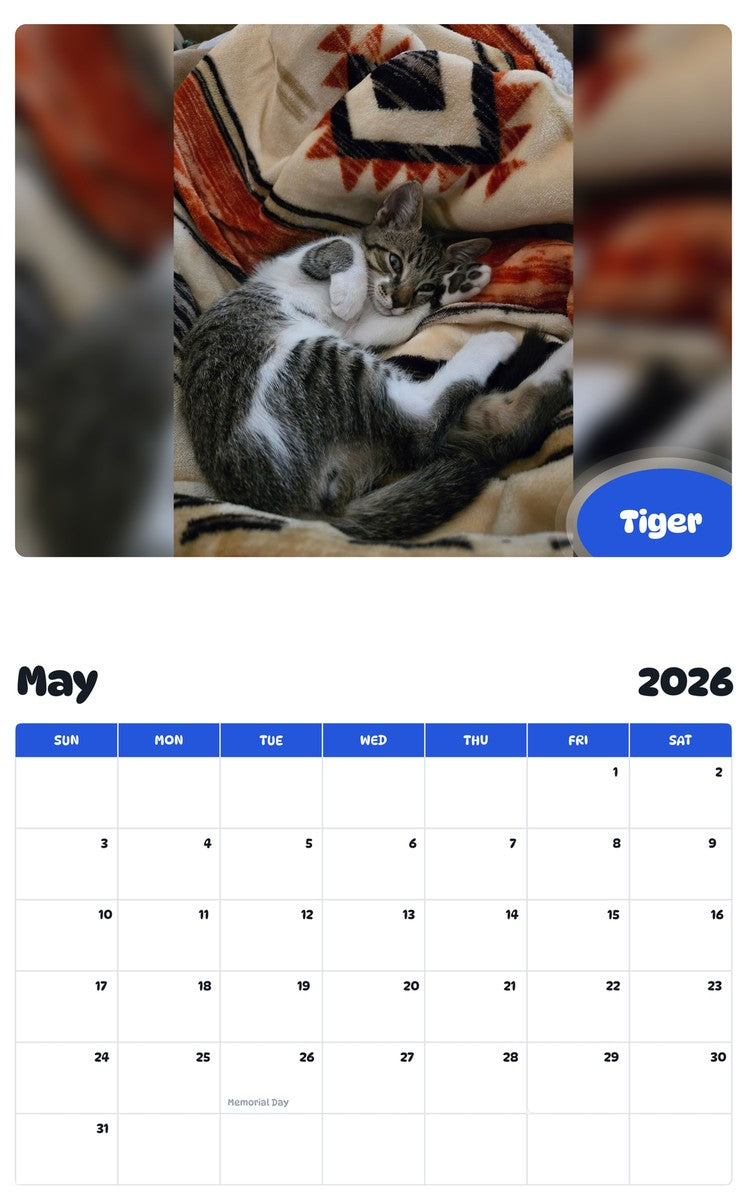 2026 - 2027 Tiger - Pawidols Pet Calendar