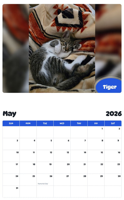 2026 - 2027 Tiger - Pawidols Pet Calendar