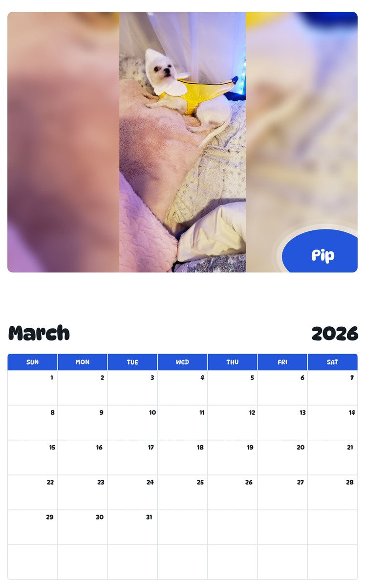 November 2025 - October 2026 Pip - Pawidols Pet Calendar