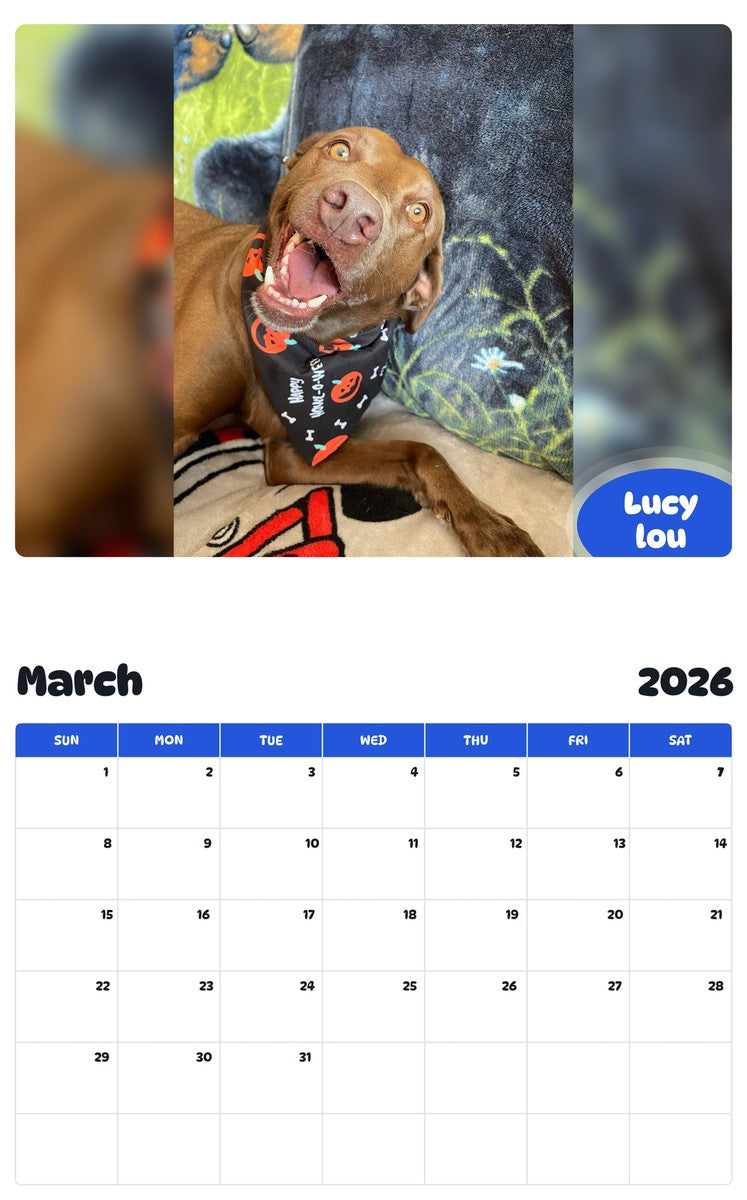 November 2025 - October 2026 Lucy lou - Pawidols Pet Calendar