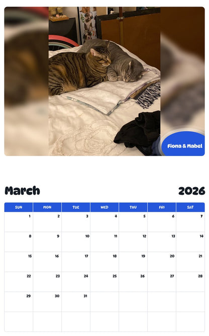November 2025 - October 2026 Fiona & Mabel - Pawidols Pet Calendar