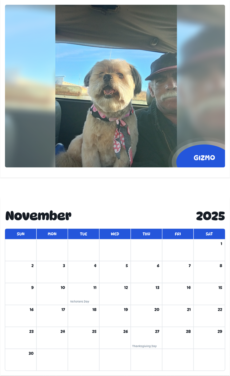 July 2025 - June 2026 Gizmo - Pawidols Pet Calendar