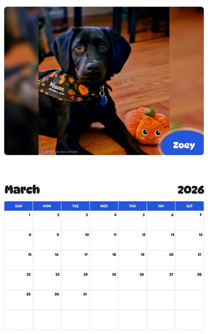 November 2025 - October 2026 Zoey - Pawidols Pet Calendar