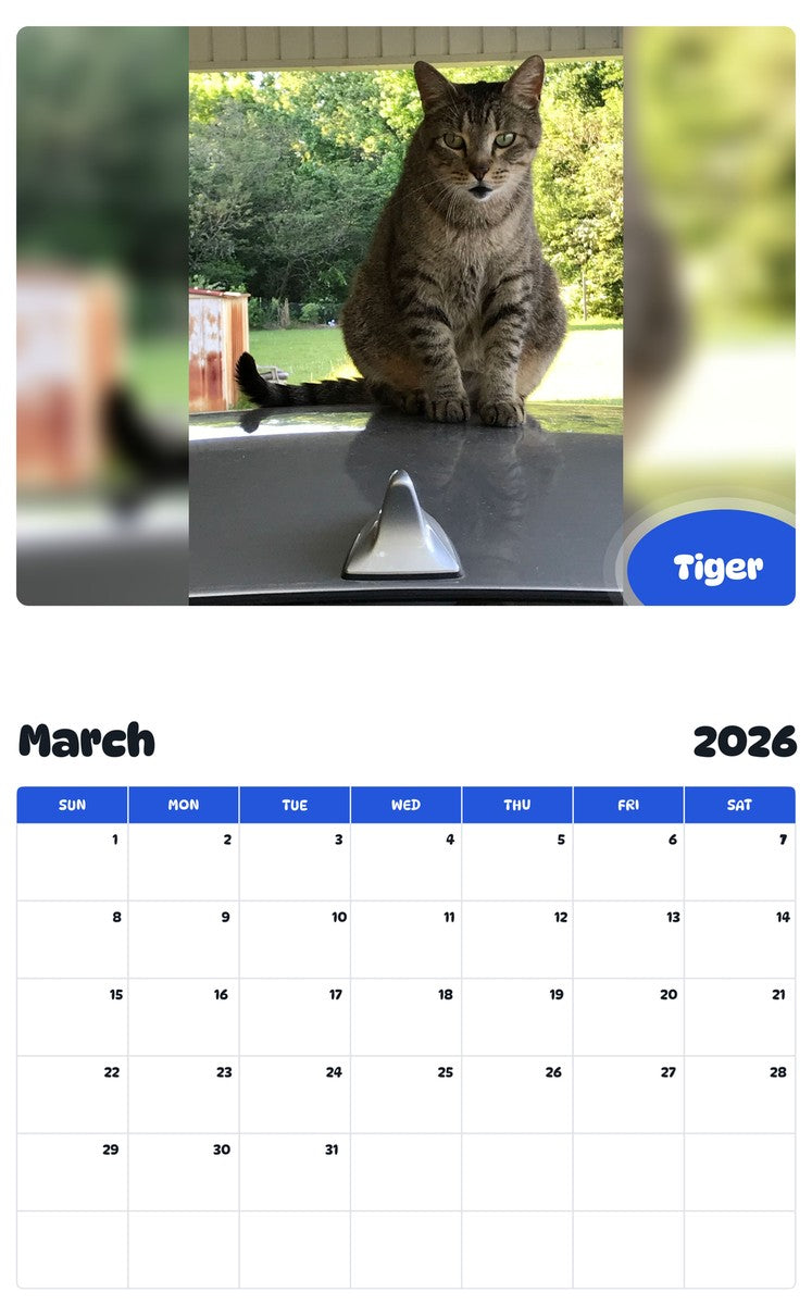 November 2025 - October 2026 Tiger - Pawidols Pet Calendar