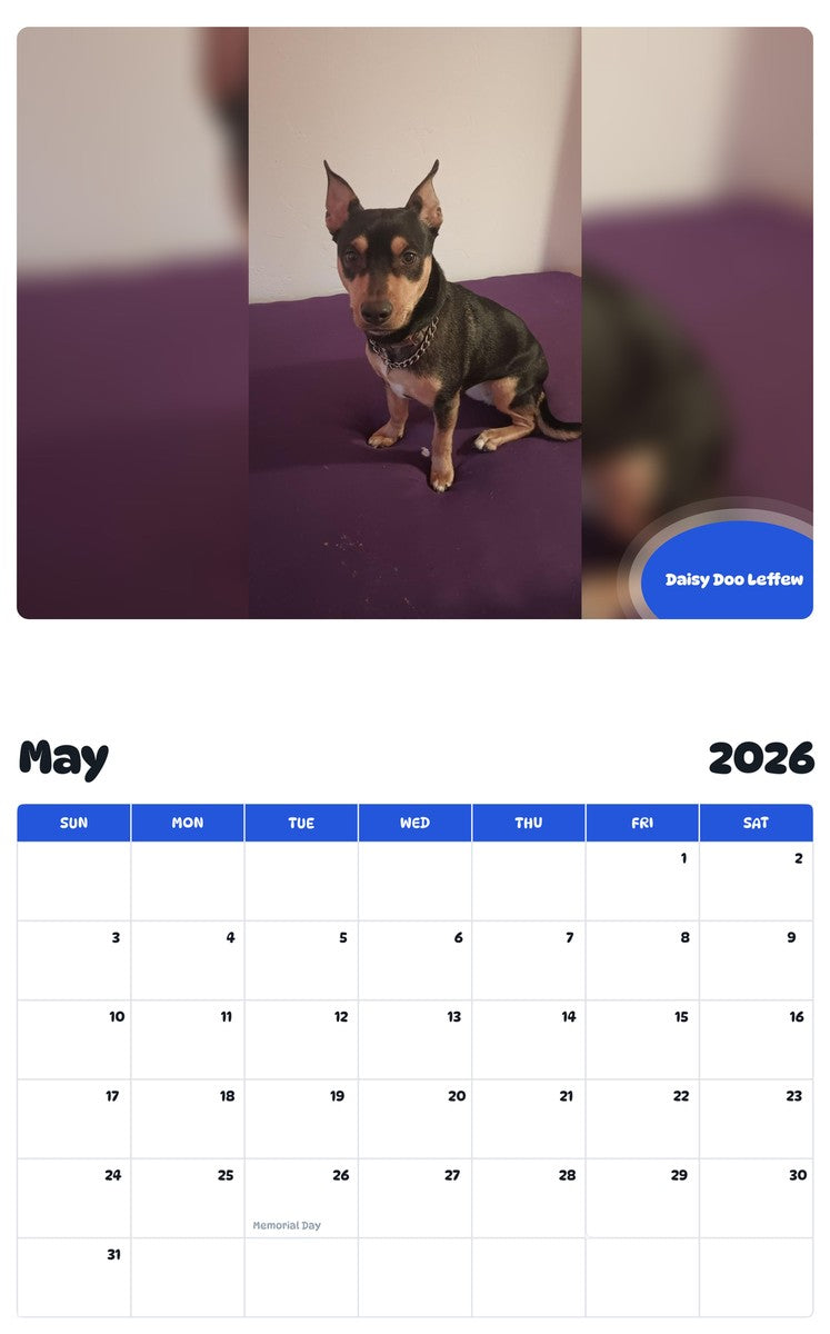 2026 - 2027 Daisy Doo Leffew - Pawidols Pet Calendar