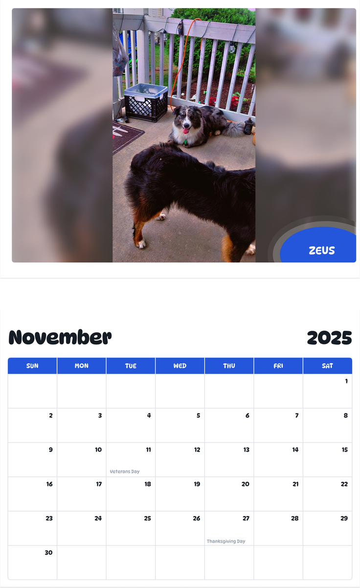 July 2025 - June 2026 Zeus - Pawidols Pet Calendar