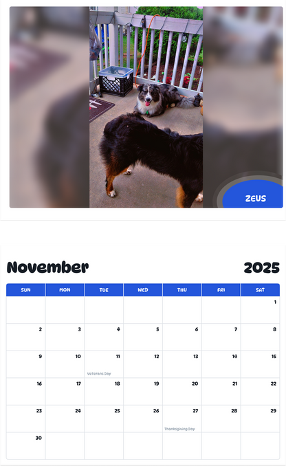 July 2025 - June 2026 Zeus - Pawidols Pet Calendar
