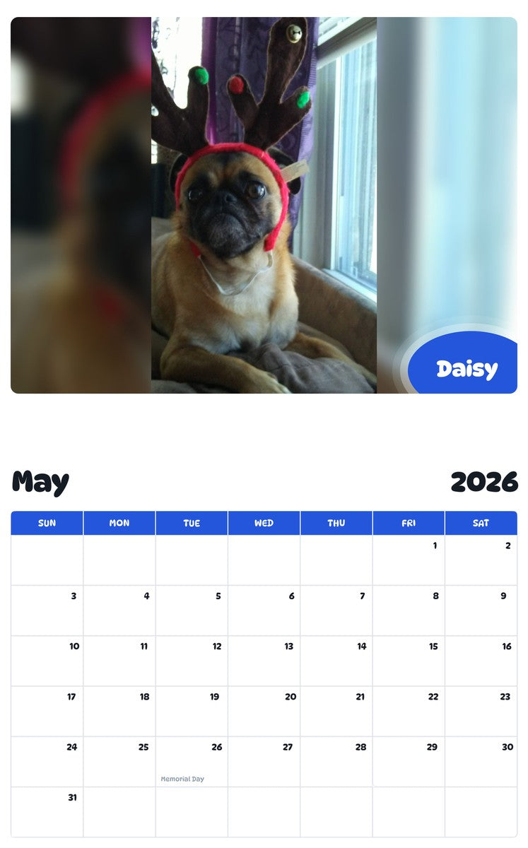 2026 - 2027 Daisy - Pawidols Pet Calendar