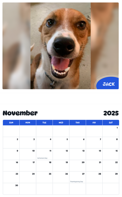 July 2025 - June 2026 Jack - Pawidols Pet Calendar