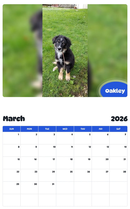 November 2025 - October 2026 Oakley - Pawidols Pet Calendar