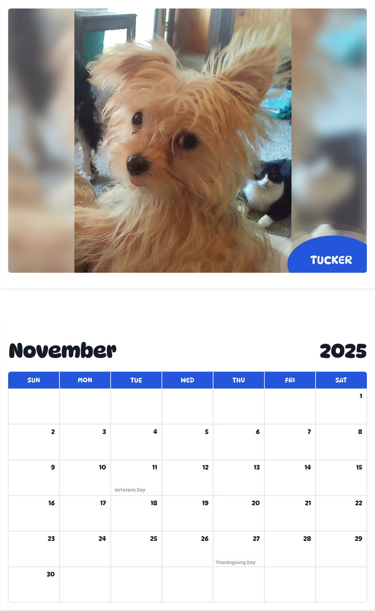 July 2025 - June 2026 Tucker - Pawidols Pet Calendar