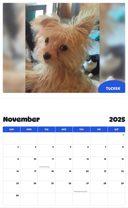 July 2025 - June 2026 Tucker - Pawidols Pet Calendar