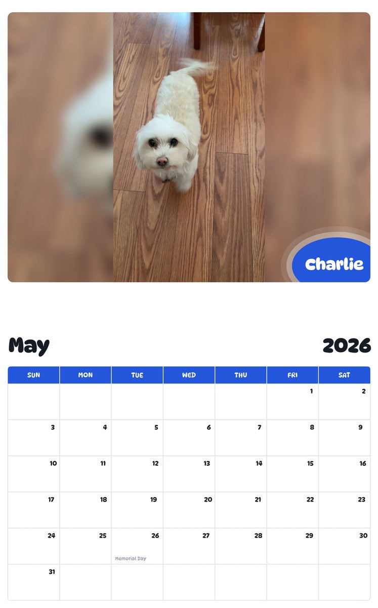 2026 - 2027 Charlie - Pawidols Pet Calendar