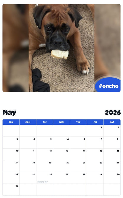 2026 - 2027 Poncho - Pawidols Pet Calendar