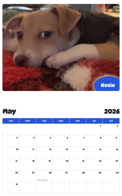2026 - 2027 Rosie - Pawidols Pet Calendar