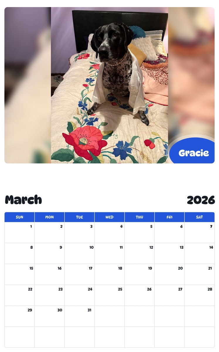 November 2025 - October 2026 Gracie - Pawidols Pet Calendar