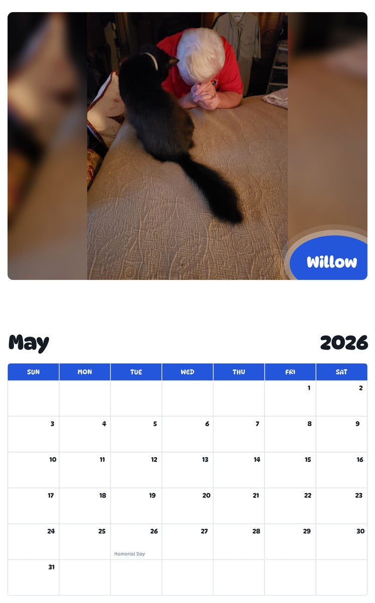 2026 - 2027 Willow - Pawidols Pet Calendar