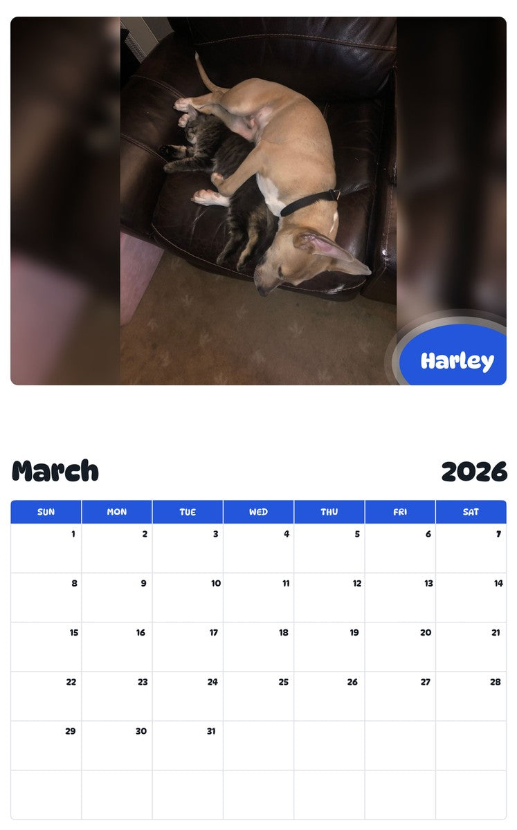 November 2025 - October 2026 Harley - Pawidols Pet Calendar