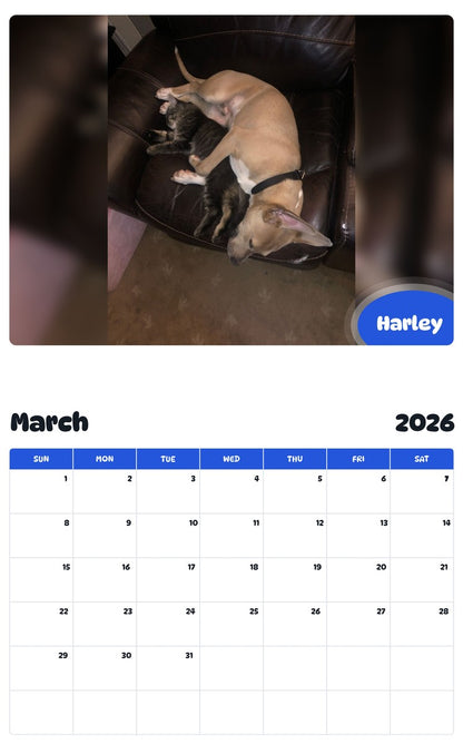 November 2025 - October 2026 Harley - Pawidols Pet Calendar
