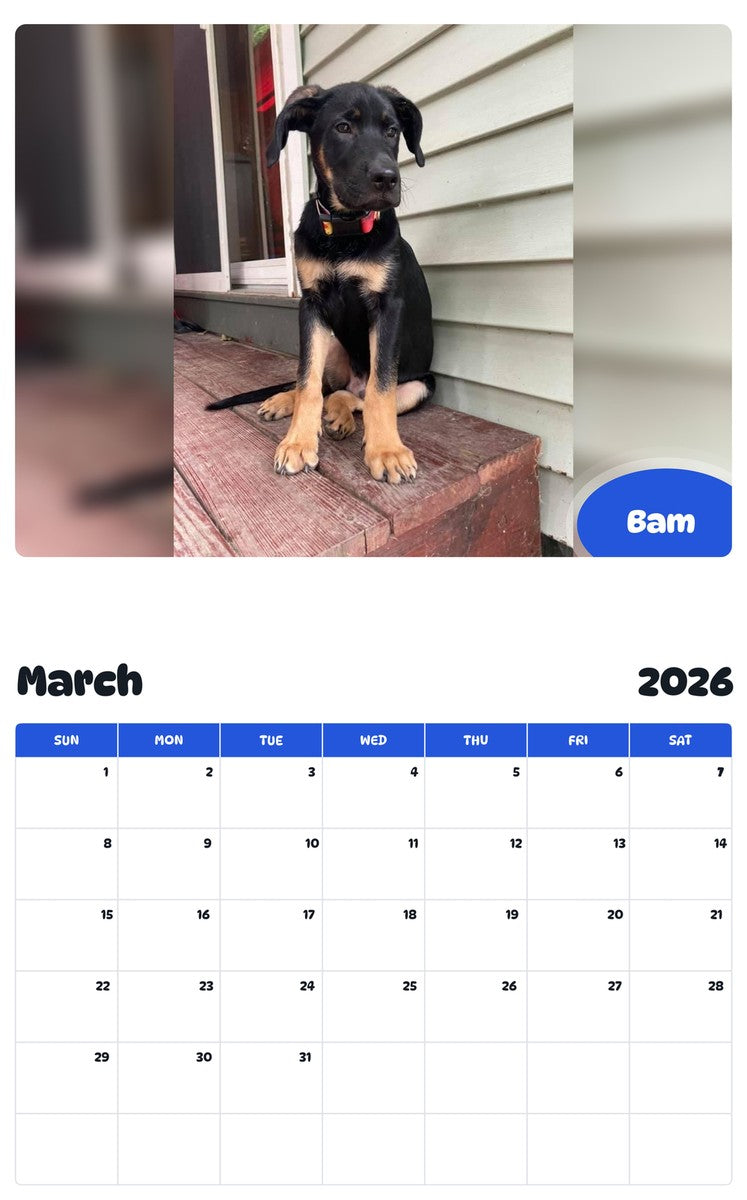 November 2025 - October 2026 Bam - Pawidols Pet Calendar