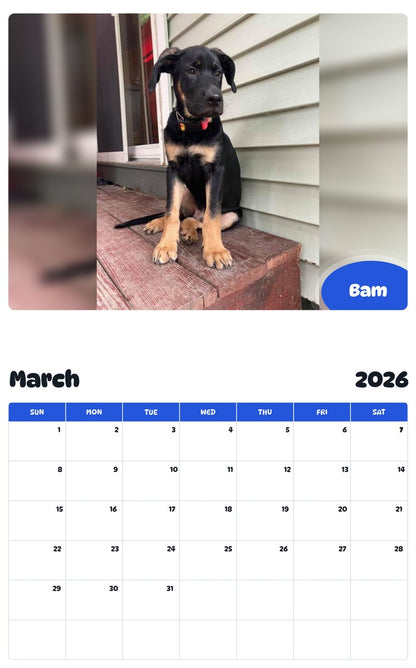 November 2025 - October 2026 Bam - Pawidols Pet Calendar
