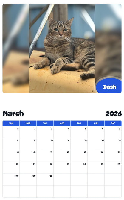 November 2025 - October 2026 Dash - Pawidols Pet Calendar