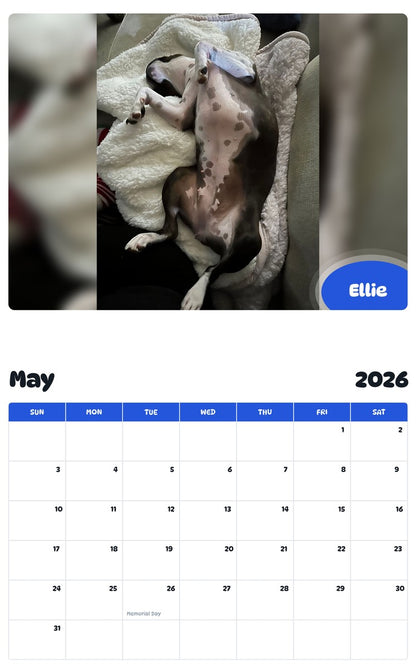 2026 - 2027 Ellie - Pawidols Pet Calendar