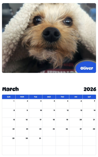 November 2025 - October 2026 Oliver - Pawidols Pet Calendar