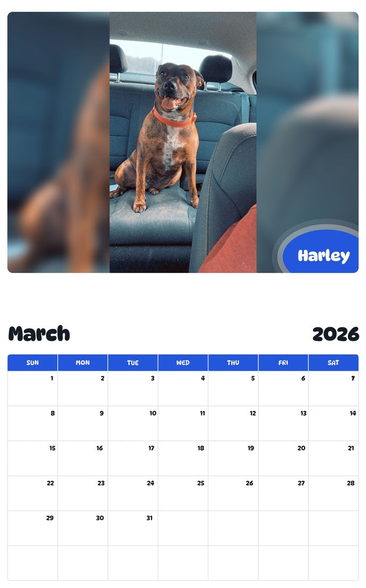 November 2025 - October 2026 Harley - Pawidols Pet Calendar