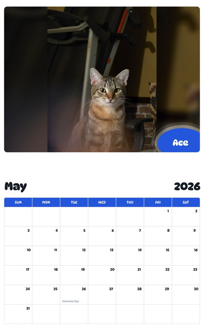 2026 - 2027 Ace - Pawidols Pet Calendar
