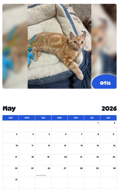 2026 - 2027 Otis - Pawidols Pet Calendar