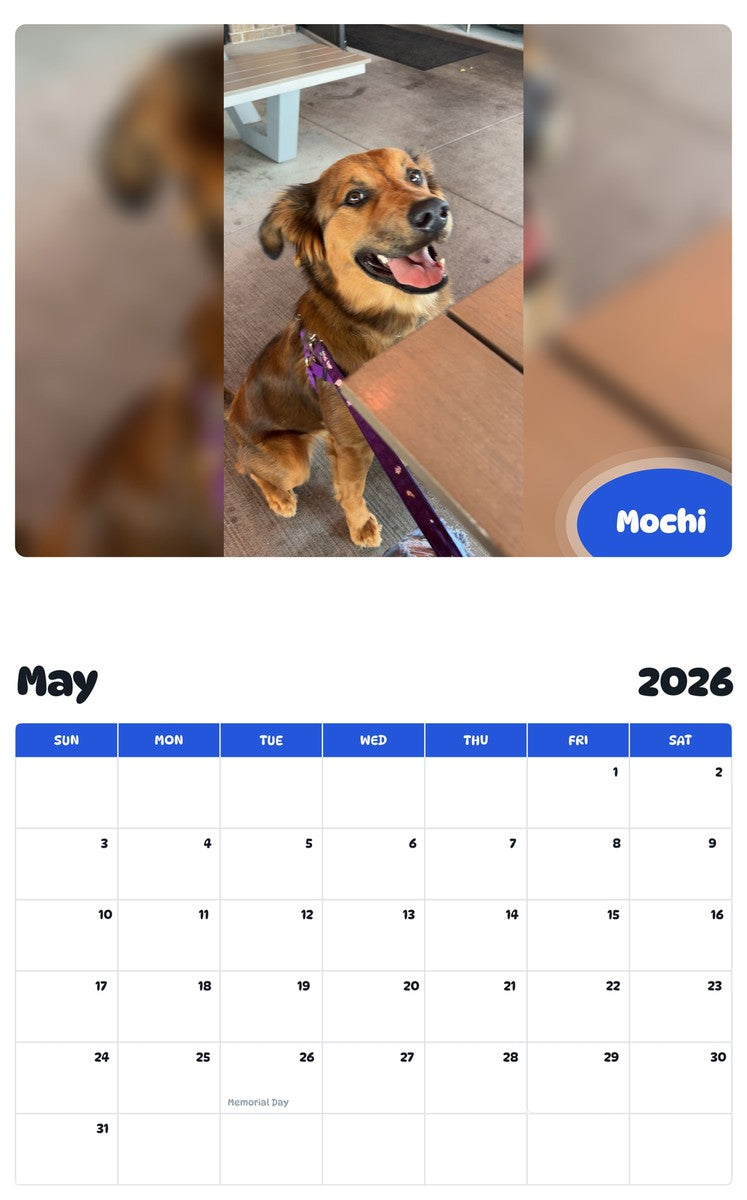 2026 - 2027 Mochi - Pawidols Pet Calendar