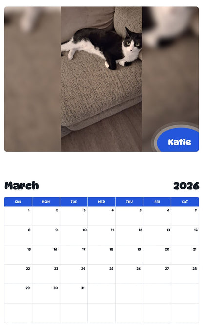 November 2025 - October 2026 Katie - Pawidols Pet Calendar