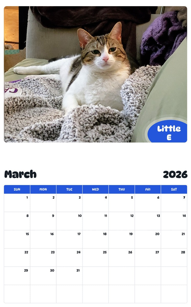 November 2025 - October 2026 Little E - Pawidols Pet Calendar