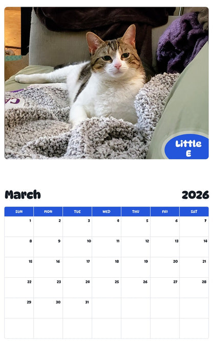 November 2025 - October 2026 Little E - Pawidols Pet Calendar