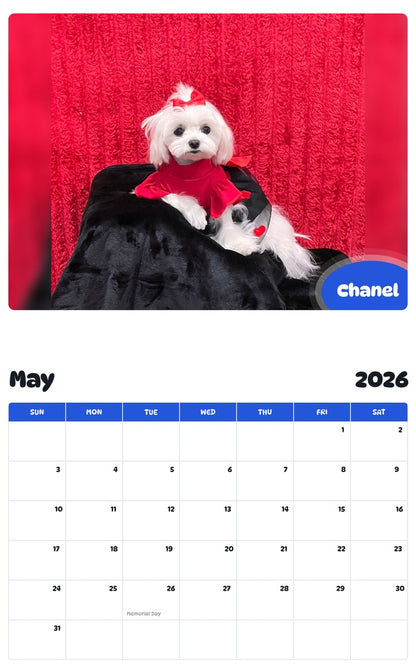 2026 - 2027 Chanel - Pawidols Pet Calendar