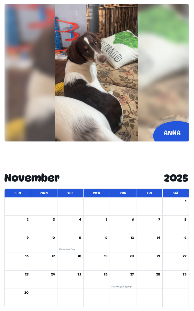 July 2025 - June 2026 Anna - Pawidols Pet Calendar