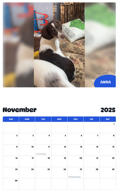 July 2025 - June 2026 Anna - Pawidols Pet Calendar