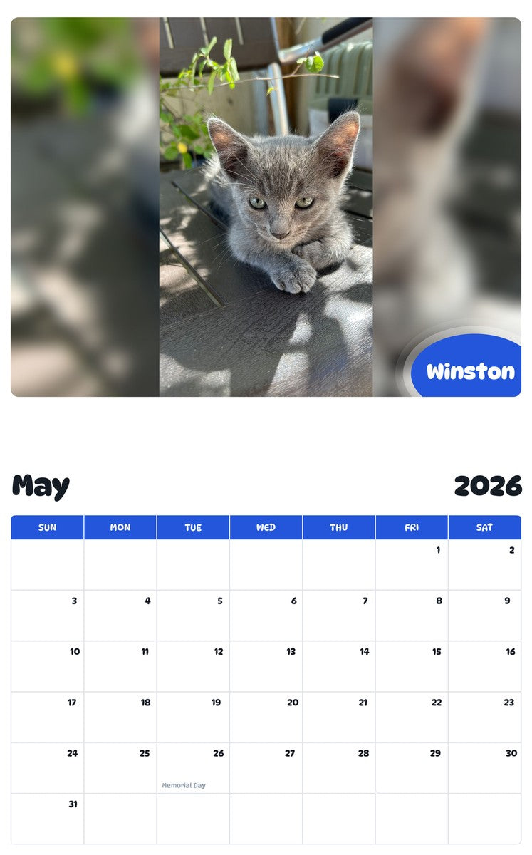 2026 - 2027 Winston - Pawidols Pet Calendar