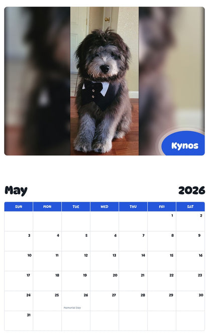 2026 - 2027 Kynos - Pawidols Pet Calendar