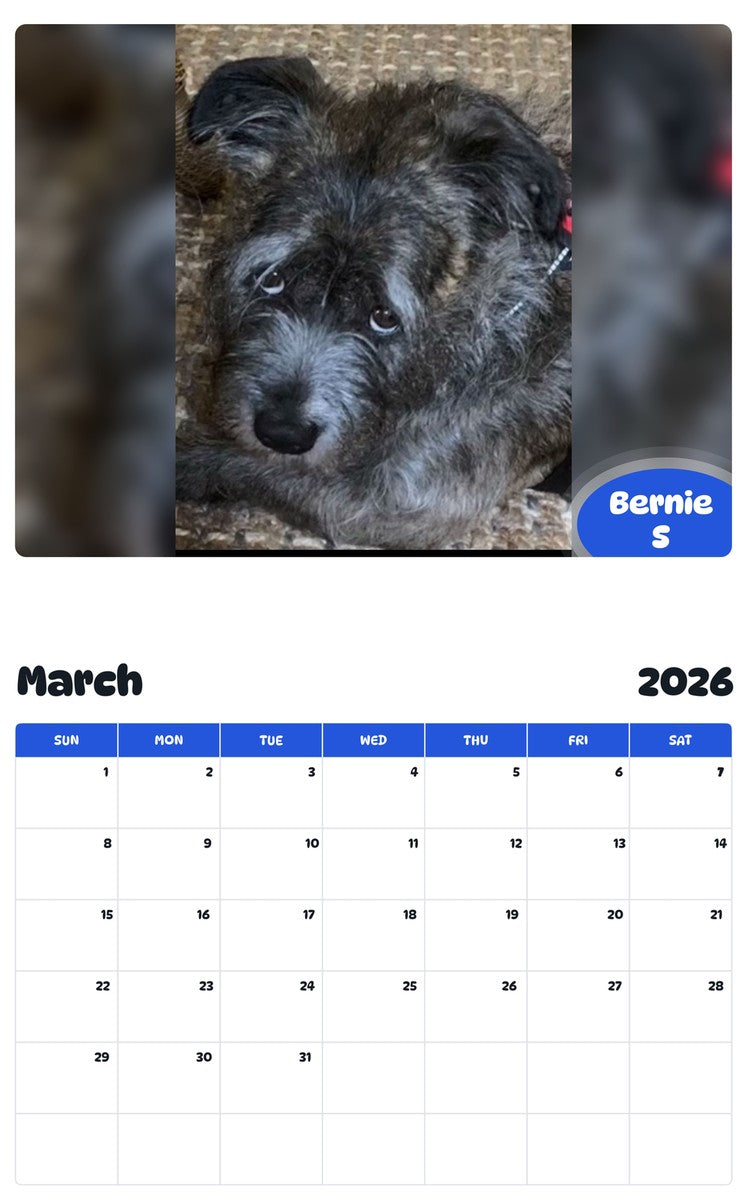 November 2025 - October 2026 Bernie S - Pawidols Pet Calendar