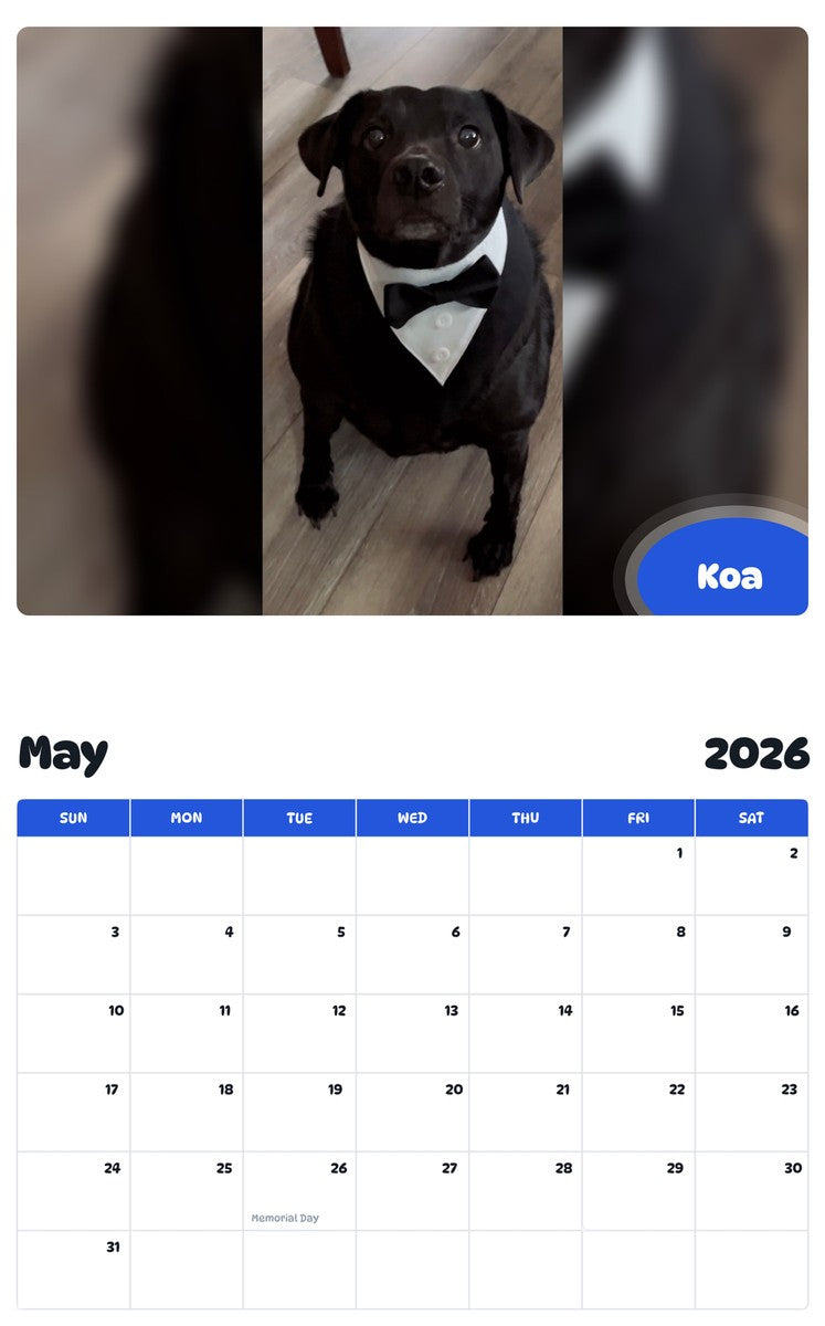 2026 - 2027 Koa - Pawidols Pet Calendar