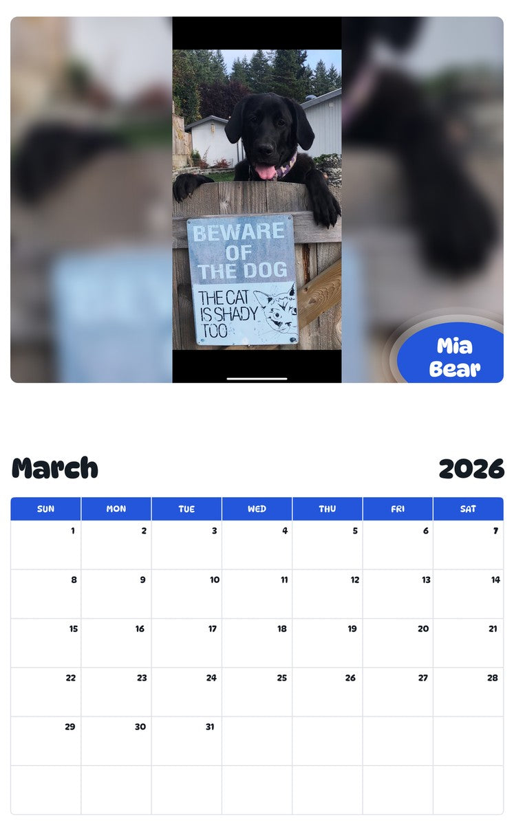November 2025 - October 2026 Mia Bear - Pawidols Pet Calendar