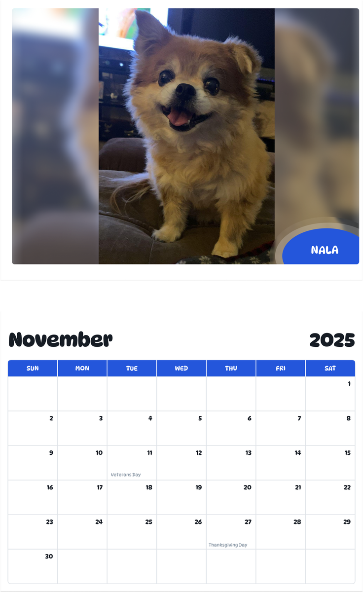 July 2025 - June 2026 Nala - Pawidols Pet Calendar