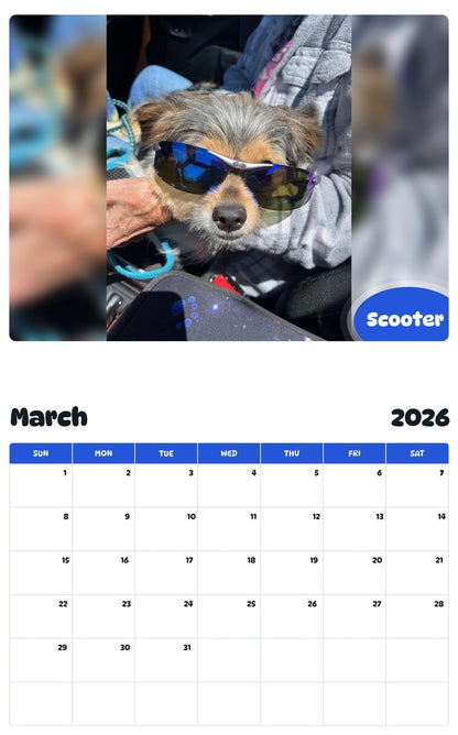 November 2025 - October 2026 Scooter - Pawidols Pet Calendar