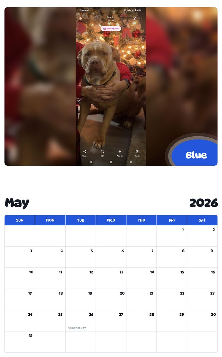 2026 - 2027 Blue - Pawidols Pet Calendar